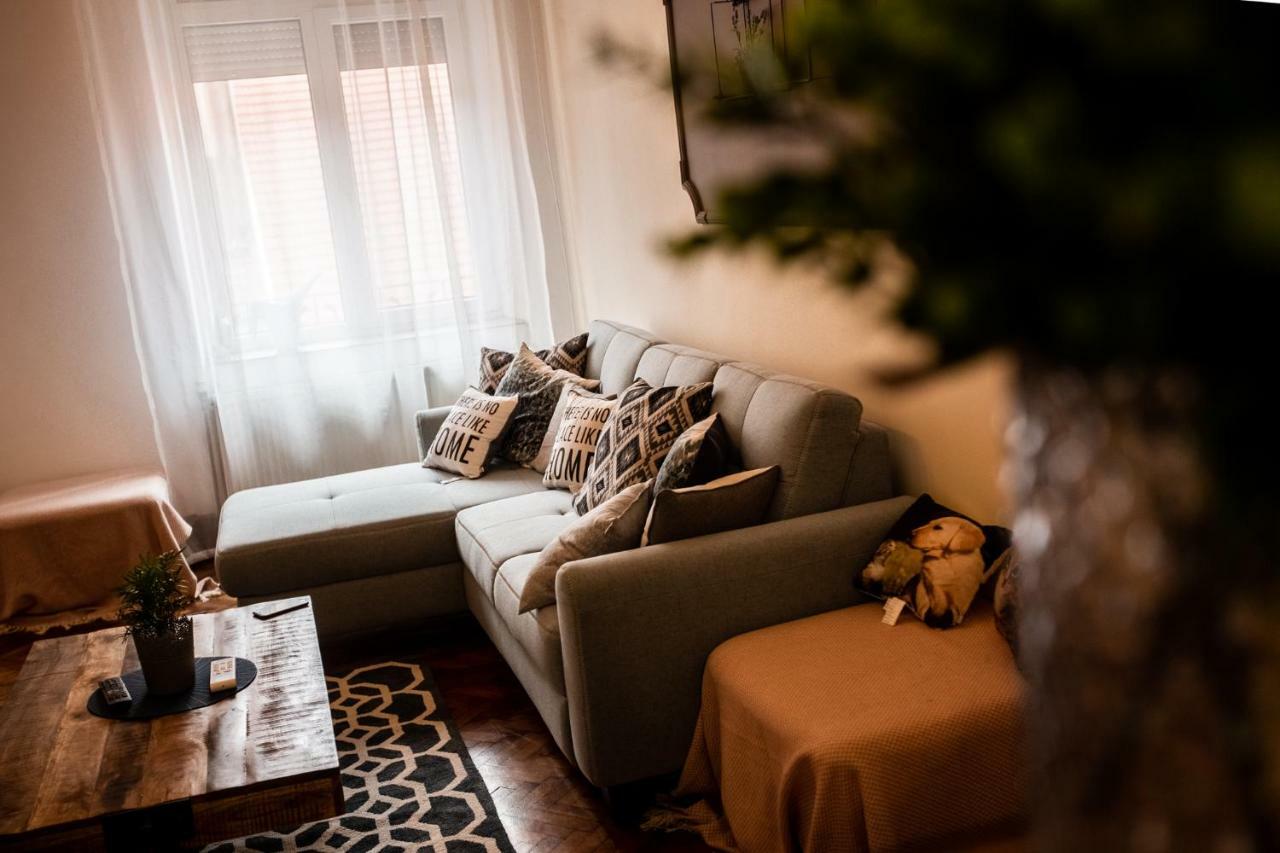 Art Downtown Alecsandri St Luxury Apartment 拉迪亚 外观 照片