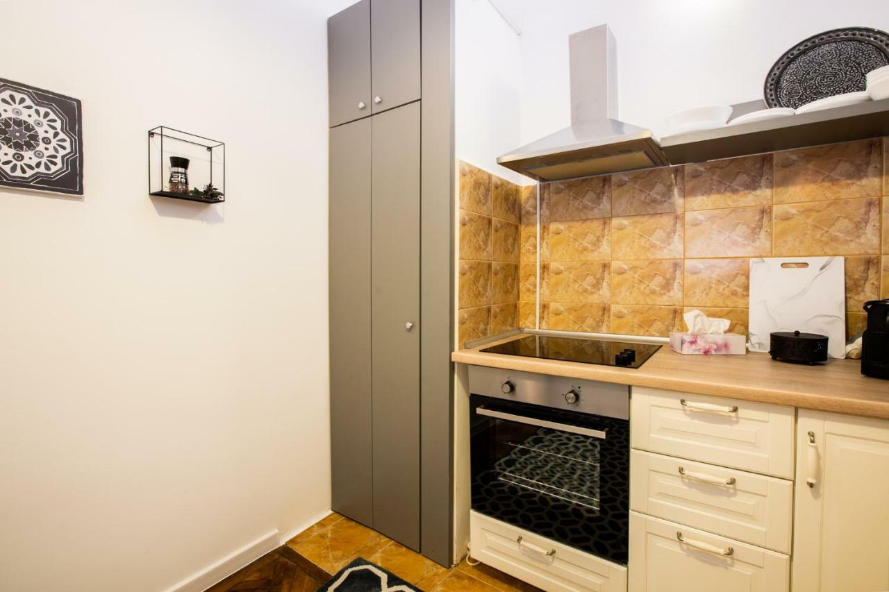 Art Downtown Alecsandri St Luxury Apartment 拉迪亚 外观 照片